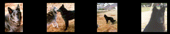 [More little pictures, Magic 1 Year or so; imagemap]